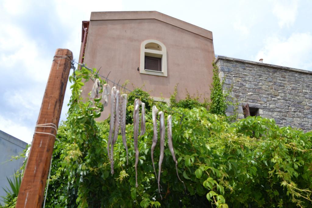 منزل الضيف Skoutárion  في Chara House المظهر الخارجي الصورة